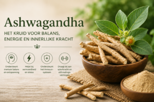 Ashwagandha: Voordelen, Gebruik En De Kracht Van Deze Ayurvedische Wonderplant