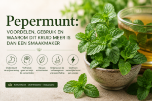 Pepermunt: Voordelen, Gebruik en Waarom Dit Kruid Meer Is Dan Een Smaakmaker
