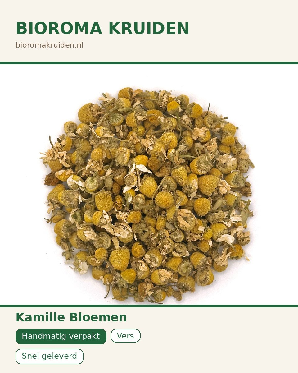 Kamille: Voordelen, Gebruik en Waarom Dit Kruid Zo Krachtig Is