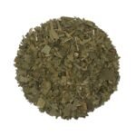 Ginkgo biloba blad